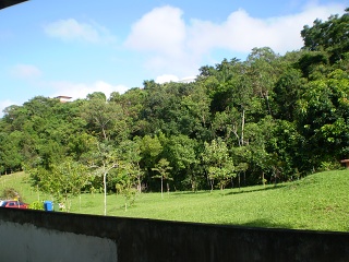 Área verde