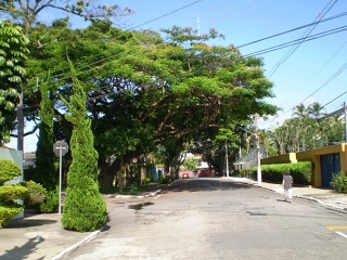 Church Street