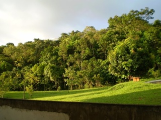 Green Area