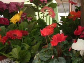 Fair 3