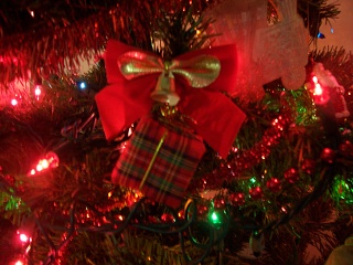 Little Wrapped Present.
